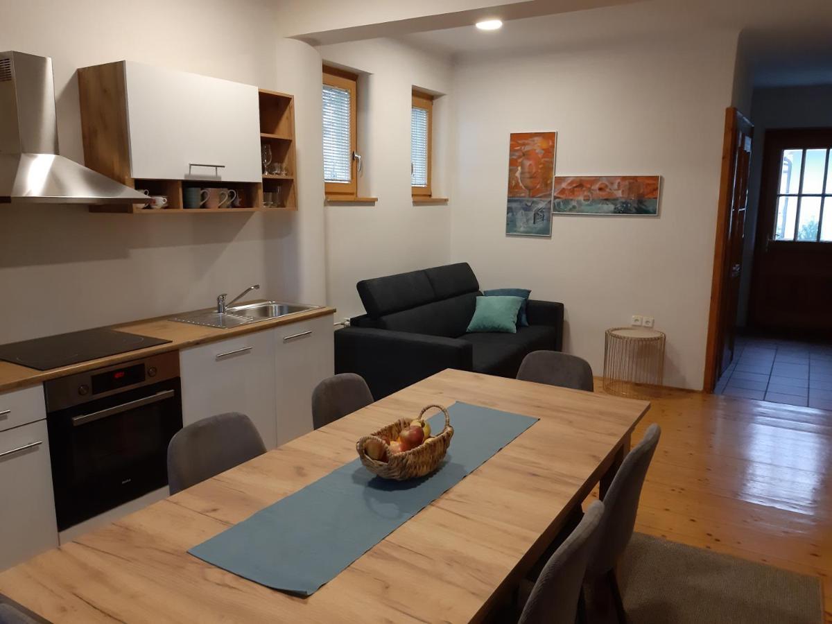 Triglav Apartment House 克拉尼 外观 照片