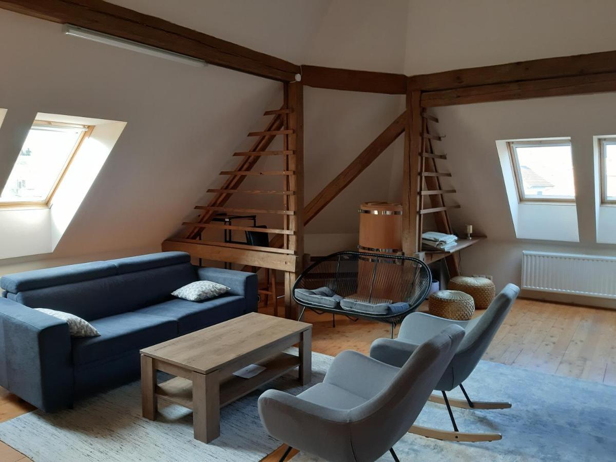 Triglav Apartment House 克拉尼 外观 照片